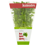 BAZIÓŁKA Kolendra 24 g