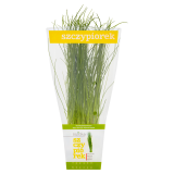 BAZIÓŁKA Szczypiorek 24 g