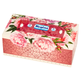 REGINA Delicatis Chusteczki higieniczne 96 szt. 1 szt
