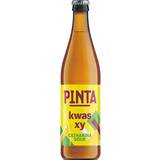 PINTA Piwo Kwas XY (butelka bezzwrotna) 500 ml