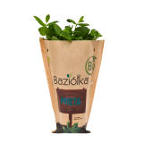 BAZIÓŁKA Mięta BIO 1 szt