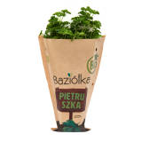 BAZIÓŁKA Pietruszka BIO 1 szt