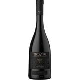 TBILVINO Saperavi Red Dry 750 ml