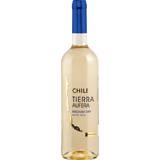 TIERRA AUFERA Sauvignon Blanc 750 ml