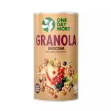 ONE DAY MORE Granola owocowa 450 g