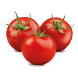 FRISCO FRESH Pomidory 3-5szt. tacka 600 g