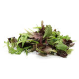 FRISCO ORGANIC Mix sałat misticanza BIO 125 g