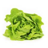 FRISCO ORGANIC Sałata masłowa BIO 150 g