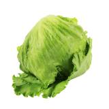 FRISCO ORGANIC Sałata lodowa BIO 250 g