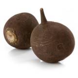 FRISCO FRESH Rzepa czarna 500 g