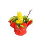 FRISCO FRESH Rzeżucha w osłonce ozdobnej 1 szt