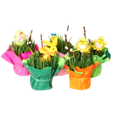 FRISCO FRESH Owies Wielkanocny w doniczce z serwetką 1 szt