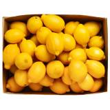 FRISCO FRESH Box Owocowy Cytryny 5 kg