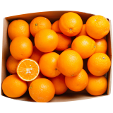 FRISCO FRESH Box Owocowy Pomarańcze 5 kg