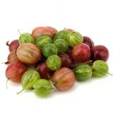 FRISCO ORGANIC Agrest ekologiczny BIO 250 g