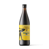 BROWAR STU MOSTÓW American IPA Piwo (butelka bezzwrotna) 500 ml