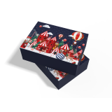 FRISCO FRISCO BOX Obfitości - indywidualny 1 szt