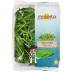 MIOORTO Rukola 100 g