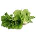 FRISCO ORGANIC Sałata rzymska mini BIO 2 szt. 150 g