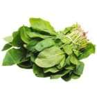 Szczaw krajowy FRISCO FRESH 200g