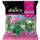 Brokuły gotowane mrożone HEAT&EAT DAUCY 450g
