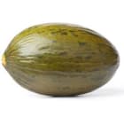 Melon Piel de Sapo 1500 -1800g - Frisco Fresh