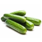 Ogórek zielony BIO FRISCO ORGANIC 900g