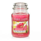 Świeca zapachowa Smoczy owoc (Duży słój) YANKEE CANDLE 1.000szt