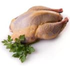 Bażant   tuszka mrożony ELKOPOL 750g