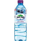 Ze Smakiem owoców leśnych ŻYWIEC ZDRÓJ 500ml