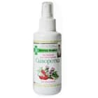 Serum na porost włosów - Agafii skutecznie pozwoli wzmocnić przerzedzone włosy.