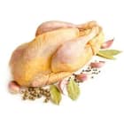 Perliczka tuszka 1szt. FRISCO FRESH 1.20kg