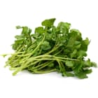 Rukiew wodna opakowanie FRISCO FRESH 100g