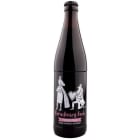 Piwo Piernikowy Foch BROWAR JAN OLBRACHT 500ml