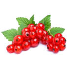 Porzeczki czerwone FRISCO FRESH 500g