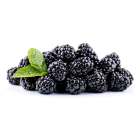 Jeżyny FRISCO FRESH 250g