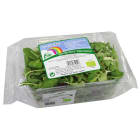 Mix świeżych sałat BIO FRISCO ORGANIC 100g
