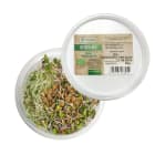 Mieszanka kiełków BIO CHEŁMIŃSKI 50g