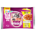 Potrawka Pokarm dla Kotów   Smaki Drobiowe w Galaretce JUNIOR WHISKAS 340g