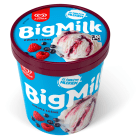 Lody o smaku owoców lesnych BIG MILK 450ml