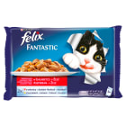 Pokarm dla kotów - Purina Feliks Fantastic. Pyszny i pełnowartościowy posiłek dla pupili.