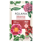 Maseczka do twarzy, REWITALIZACJA   ROZŚWIETLENIE POLANA 8ml