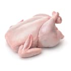Kurczak tuszka (1120g 1680g) FRISCO FRESH 1.40kg