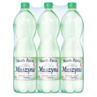 Naturalna woda mineralna wysokozmineralizowana gazowana SKARB ŻYCIA MUSZYNA 1.50l
