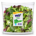 Mix sałat ze szpinakiem FIT&EASY 150g