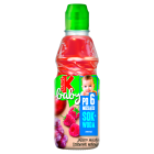 Sok + Woda jabłko malina czerwone winogrono po 6 miesiącu Baby KUBUŚ 300ml