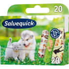 Zestaw plastrów opatrunkowych 20 szt. Animal Planet SALVEQUICK 1.000szt