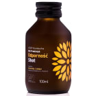 Kombucha Probiotyk Odporność Shot BIO VIGO 100ml