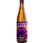 LEON HAZY IPA Piwo (butelka bezzwrotna) RADUGA 500ml