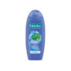 Szampon do włosów przeciwłupieżowy Dzika Mięta Naturals PALMOLIVE 350ml
